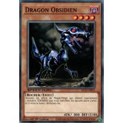 SGX3-FRI11 Dragon Obsidien Commune
