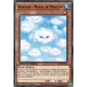 SGX3-FRI24 Nuagien - Nuage de Mouton Commune