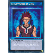SGX3-ENS16 Cloudy Skies of Grey Commune