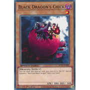 SGX3-ENB05 Black Dragon's Chick Commune