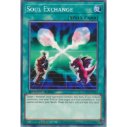 SGX3-ENC17 Soul Exchange Commune