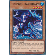 SGX3-ENH10 Cloudian - Storm Dragon Commune