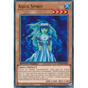 SGX3-ENI20 Aqua Spirit Commune