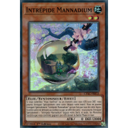 CYAC-FR013 Intrépide Mannadium Super Rare