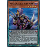 CYAC-FR026 Moisson, Ange de la Mort Super Rare