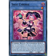 CYAC-FR033 Sage Cyberse Commune