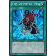 HA06-FR027 Arts Interdits du Gishki Super Rare