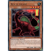 WISU-FR010 Rex le Géant Rare