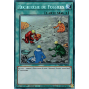 WISU-FR055 Recherche de Fossiles Collectors Rare