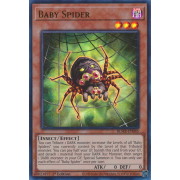 BLMR-EN045 Baby Spider Ultra Rare