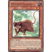 DREV-FR007 Opossum Taquin Rare