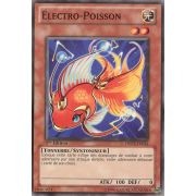 DREV-FR024 Électro-Poisson Commune