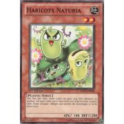 DREV-FR028 Haricots Naturia Commune