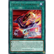 LD10-FR006 Charge Salamangrande Rare