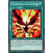 LD10-FR015 Transcendance Salamangrande Commune