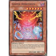 DREV-FR036 Gofer Ambitieux Rare