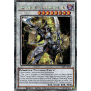 TN23-FR010 Paladin de l'Illumination Quarter Century Secret Rare