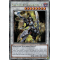 TN23-FR010 Paladin de l'Illumination Quarter Century Secret Rare