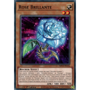 MP23-FR124 Rose Brillante Commune