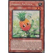 DREV-FR082 Ananas Naturia Secret Rare