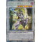 TN23-EN010 Enlightenment Paladin Quarter Century Secret Rare