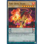 MP23-EN050 Fire Opal Head Super Rare