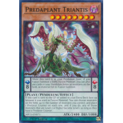 MP23-EN071 Predaplant Triantis Commune