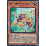 MP23-EN170 Naturia Mole Cricket Super Rare