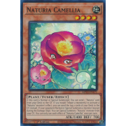 MP23-EN171 Naturia Camellia Super Rare