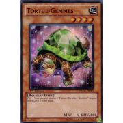 PHSW-FR093 Tortue-Gemmes Super Rare