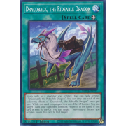 MP23-EN271 Dracoback, the Rideable Dragon Commune