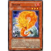 TSHD-EN031 Trigon Commune