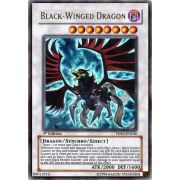 TSHD-EN040 Black-Winged Dragon Ultra Rare