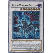 Black-Winged Dragon