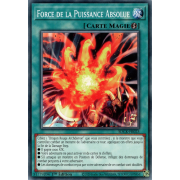 SDCK-FR025 Force de la Puissance Absolue Commune