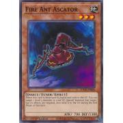 SDCK-EN020 Fire Ant Ascator Commune