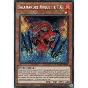 AGOV-FR003 Salamandre Roquette T.G. Secret Rare