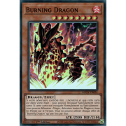 AGOV-FR094 Burning Dragon Super Rare