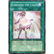 TSHD-EN061 Leeching the Light Commune