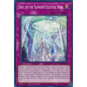 AGOV-EN069 Soul of the Supreme Celestial King Commune