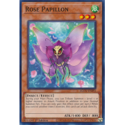 AGOV-EN093 Rose Papillon Commune