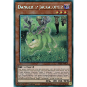 RA01-FR013 Danger !? Jackalope ? Collectors Rare