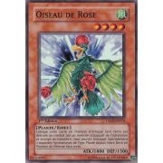 TSHD-FR018 Oiseau de Rose Super Rare