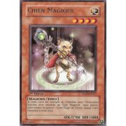 TSHD-FR023 Chien Magique Rare