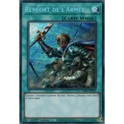 RA01-FR051 Renfort de l'Armée Secret Rare