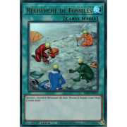 RA01-FR053 Recherche de Fossiles Ultra Rare