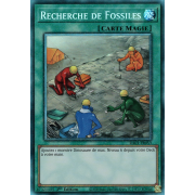 RA01-FR053 Recherche de Fossiles Collectors Rare