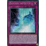 RA01-FR071 Barrière de Glace Platinum Secret Rare