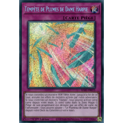 RA01-FR073 Tempête de Plumes de Dame Harpie Secret Rare