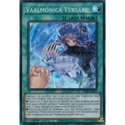 VASM-FR037 Vaalmonica Versare Super Rare